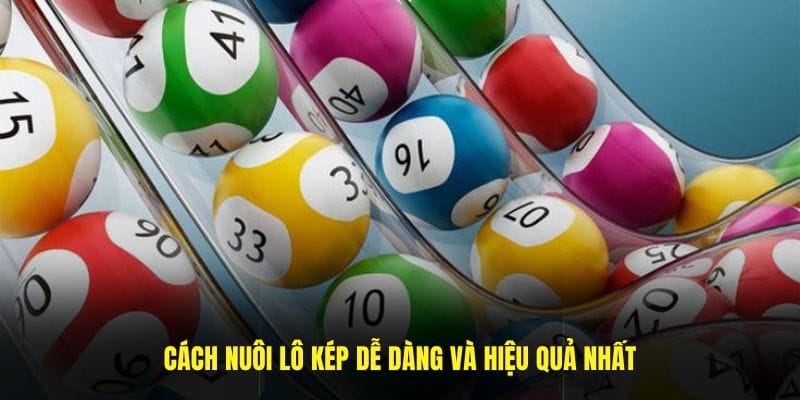 Cách nuôi lô kép dễ dàng và hiệu quả nhất
