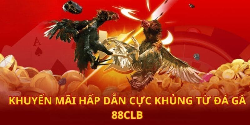 Khuyến mãi giải đấu đá gà cùng hệ thống top đầu giải trí