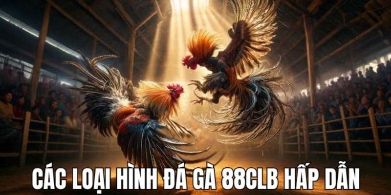 Loại hình thi đấu chiến kê được yêu thích nhất tại 88CLB