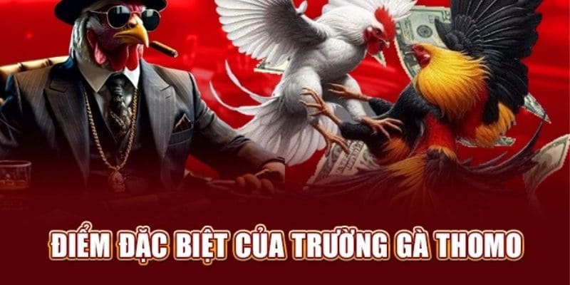 Tiến hành và kiểm soát vòng cược tại hệ thống