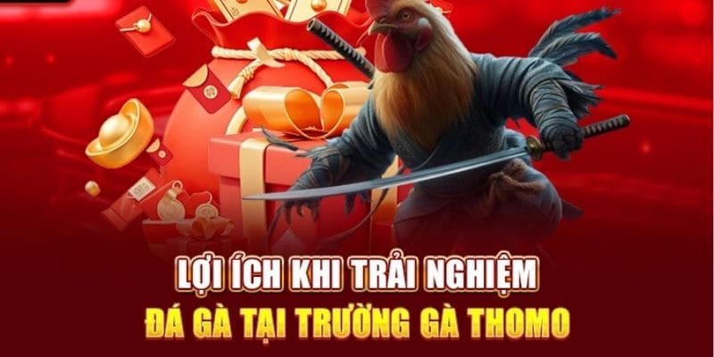 Hoà mình vào dòng người cuồng nhiệt tại sảnh cược