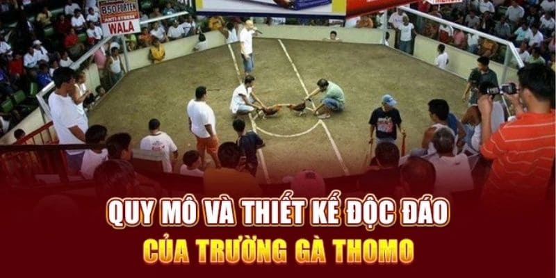 Quy định thực thi luật đá gà Thomo tại trang chủ 88CLB uy tín