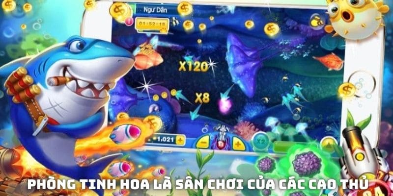 Phòng tinh hoa là sân chơi của các cao thủ bắn cá thần tài 