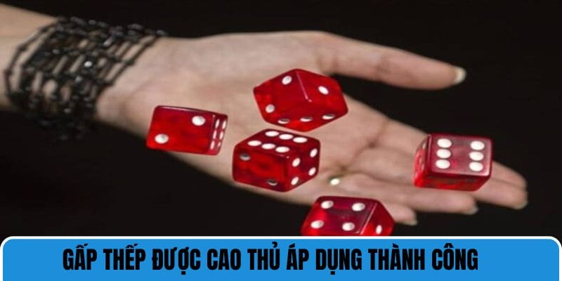 Gấp thếp được cao thủ áp dụng thành công