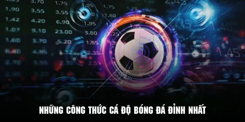 Khám phá một số công thức cá độ bóng đá đỉnh cao