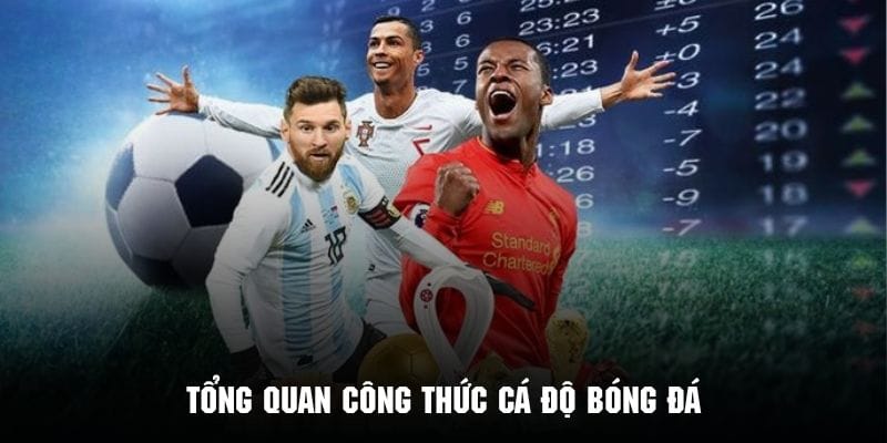 Giới thiệu chi tiết về công thức cá độ bóng đá