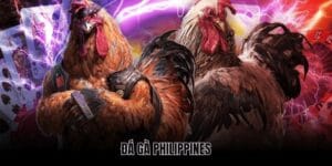đá gà philippines
