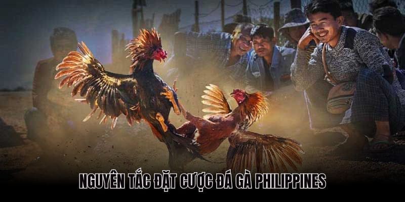 Quy tắc đặt cược mà khách hàng cần chú ý đến