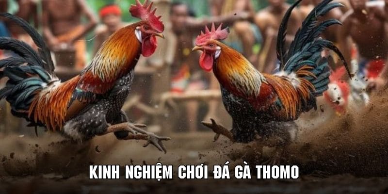 Tìm hiểu kinh nghiệm tham gia dự đoán để nhận thưởng khủng