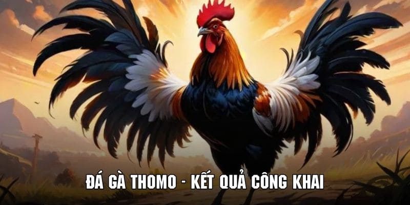 Hội viên sẽ được cập nhật kết quả nhanh chóng và minh bạch tại 88CLB