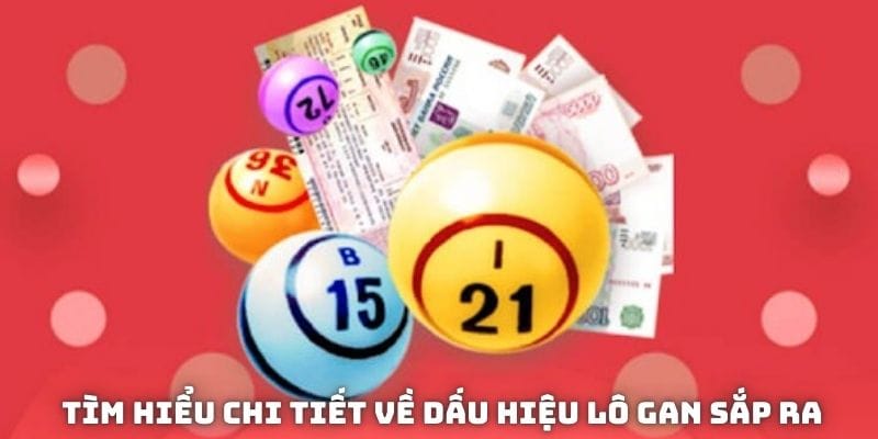 Tìm hiểu về chu kỳ để biết cách nhận diện dấu hiệu lô gan sắp ra
