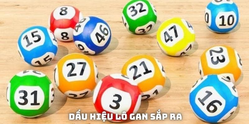dấu hiệu lô gan sắp ra
