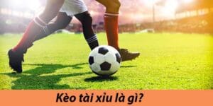 cách đọc kèo bóng đá tài xỉu hiệp 1
