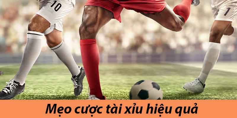 Tổng hợp vài mẹo tham gia cá cược dễ thắng nhất