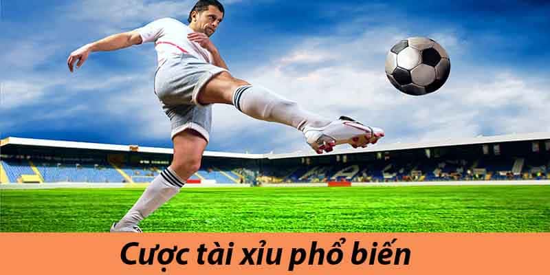 Kèo tài xỉu đang thu hút rất nhiều sự quan tâm