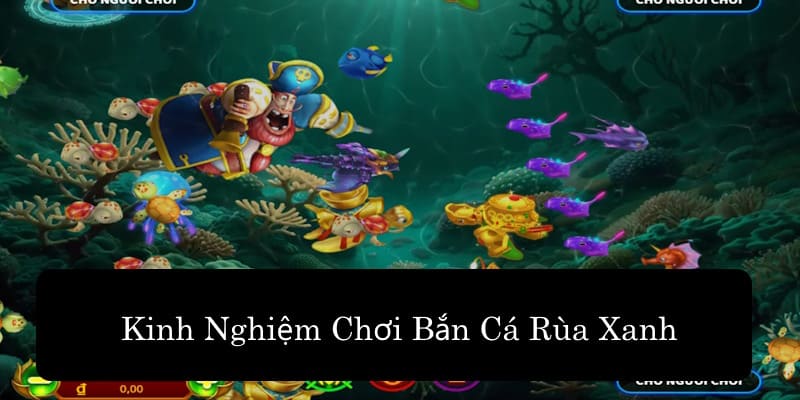 Cập nhật kinh nghiệm để săn cá hiệu quả