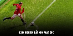 kinh nghiệm bắt kèo phạt góc