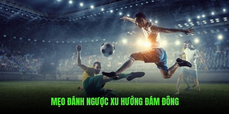 Mẹo đánh ngược đám đông luôn được chuyên gia khuyên dùng