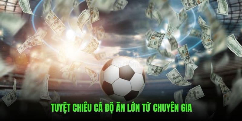 Tuyệt chiêu bất bại từ chuyên gia khi tham gia cá độ