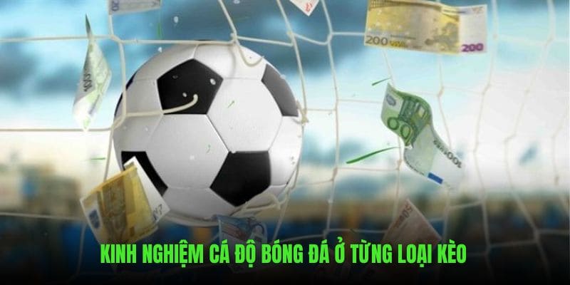 Kinh nghiệm cá độ theo từng loại kèo thịnh hành