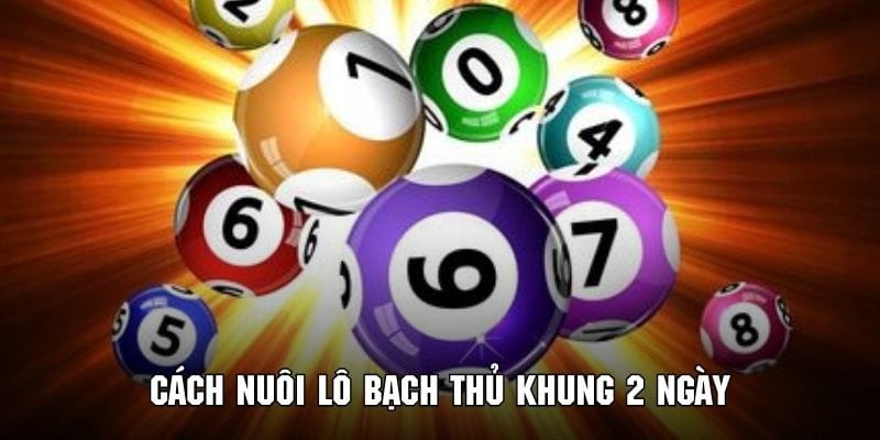 Tìm hiểu bí kíp nuôi lô bạch thủ khung 2 ngày siêu hiệu quả