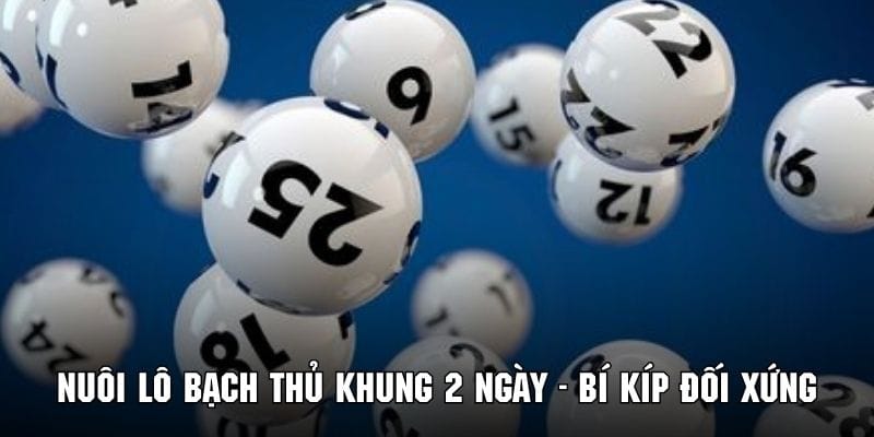 Hội viên có thể áp dụng phương pháp đối xứng để tìm con đề may mắn