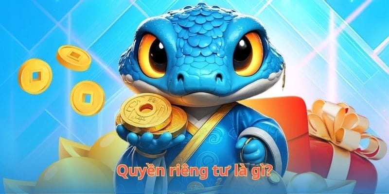 Quyền riêng tư là gì?