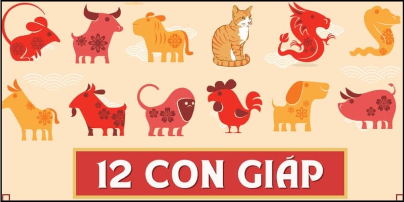 Ý nghĩa các con số trong lô đề khi phân tích 12 con giáp